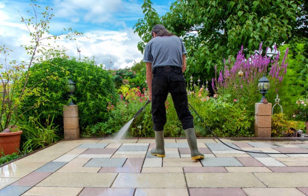 Best Pre-Holiday Cleaning  in Susquehanna Trails, PA